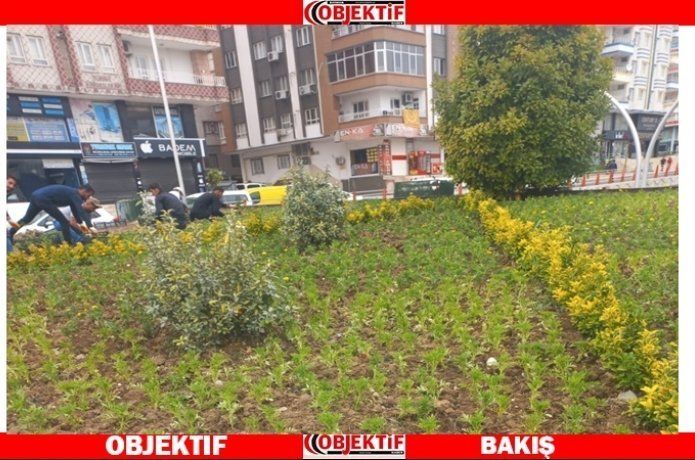 Batman bu yaz çiçeklerle rengarenk olacak