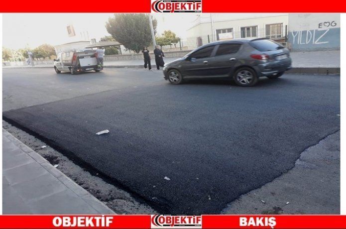 Hız kesici kasisler