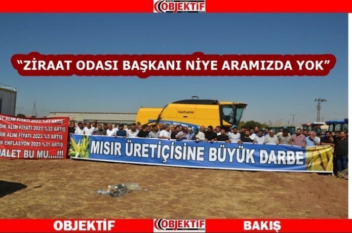 Mısır üreticileri fiyata tepki gösterdi