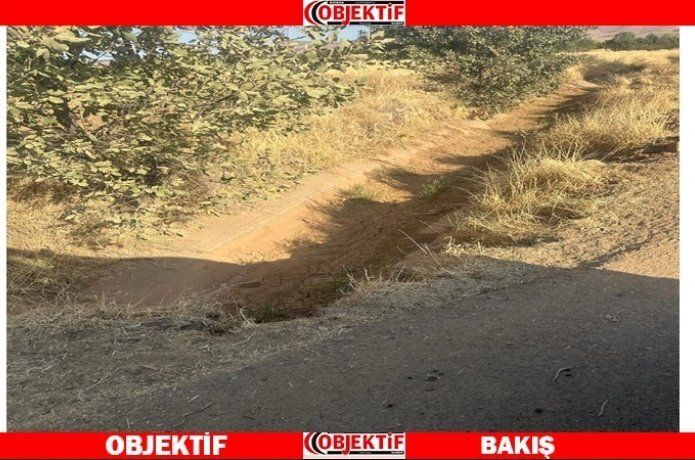 Köyler Kırkat gölünden faydalanmak istiyor
