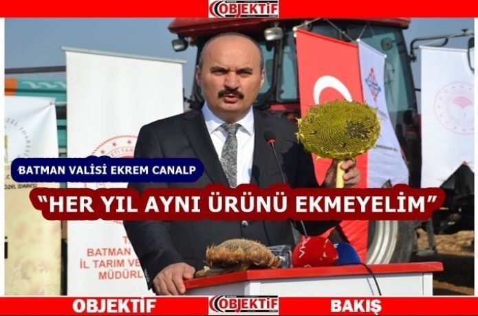 Batman'da ayçiçeği şenliği