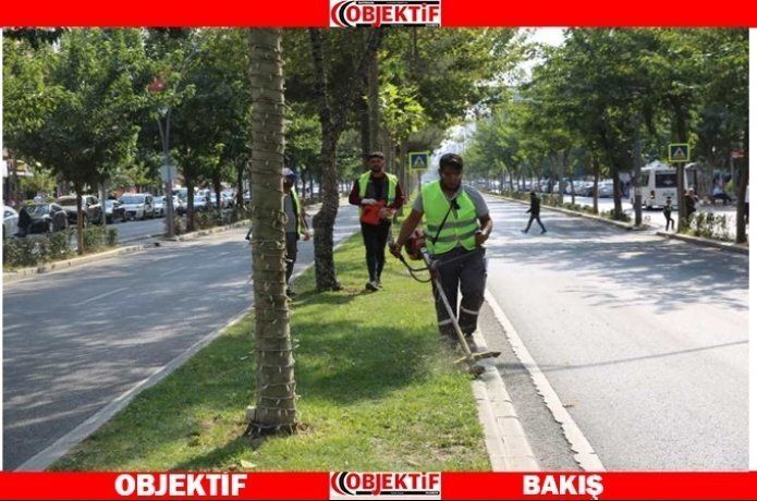 Yeşil alanlar düzenleniyor