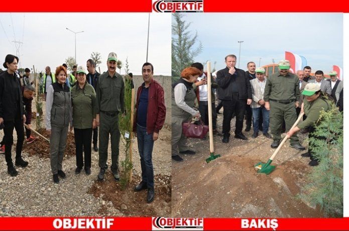165 bin adet fidan toprakla buluştu