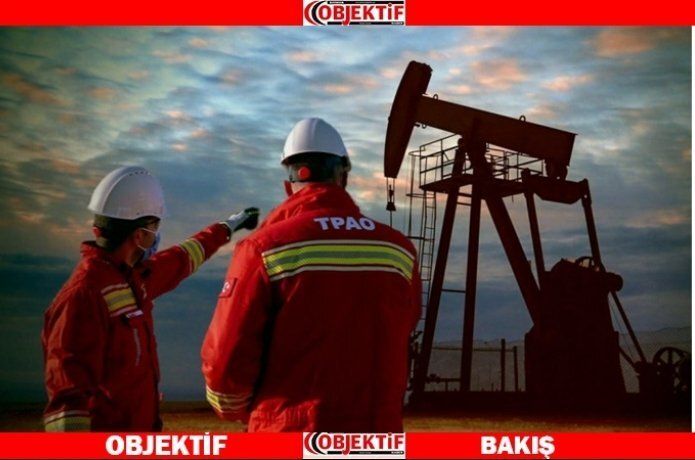 TPAO işçi alıyor