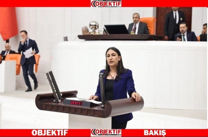 Milletvekili Oduncu'dan soru önergesi