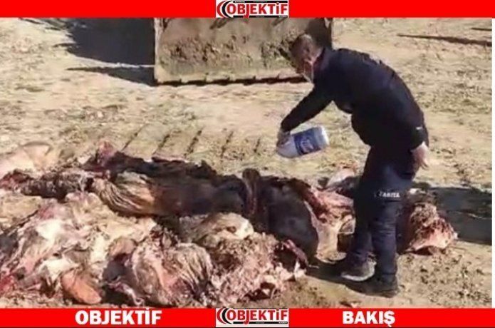 1 ton 150 kilo et imha edildi