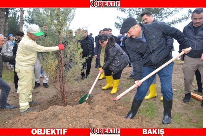 Mehmetçik Ormanı için 500 fidan diktiler