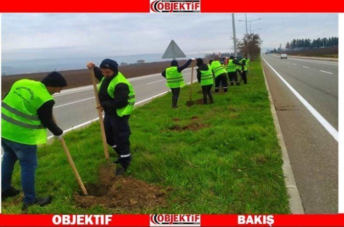 Batman yeşilleniyor