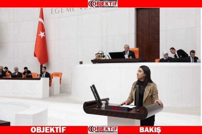 Oduncu'dan Batman Çayı önergesi