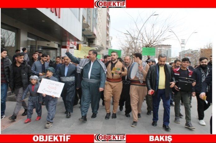 Anadil için yürüdüler