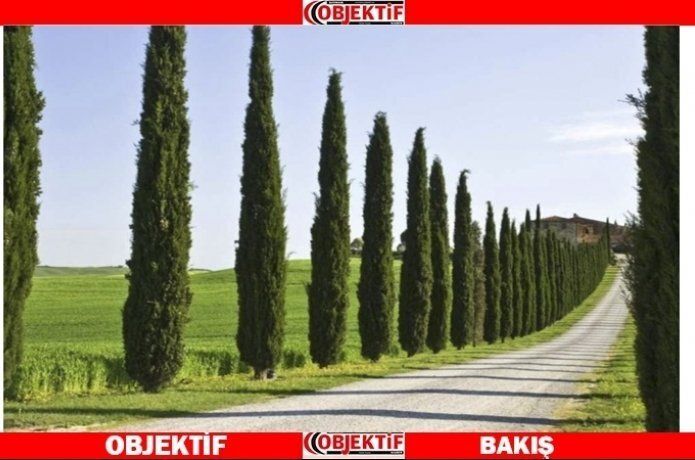 Batman yeşil kuşakla çepeçevre sarılacak