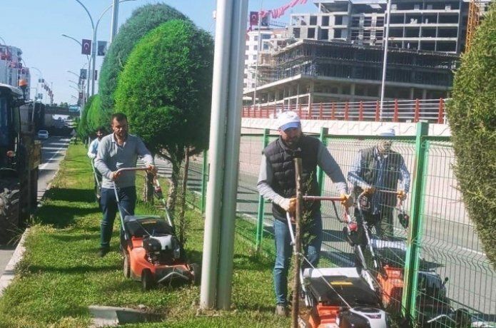 “Batman’ı çiçek gibi yapacağız”