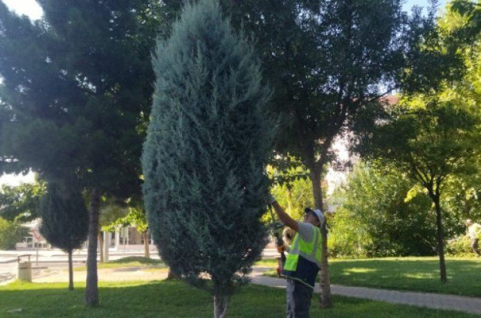 Yeşil alanlara estetik dokunuş