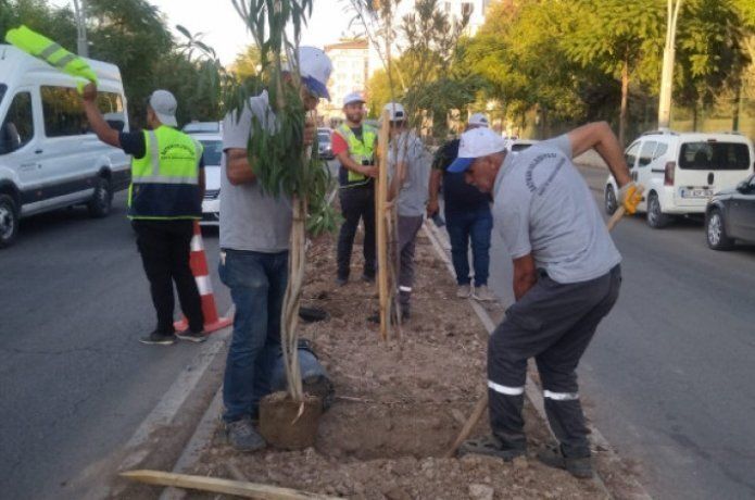 İstasyon caddesinde kalıcı peyzaj düzenlemesi