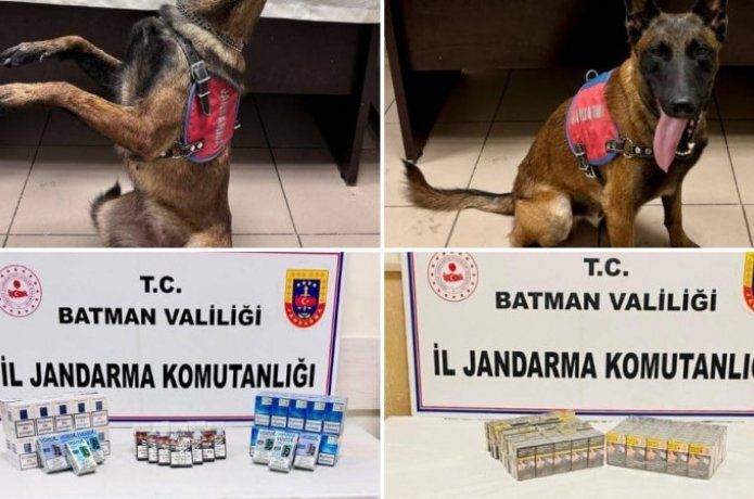 998 Paket kaçak sigara ele geçirildi