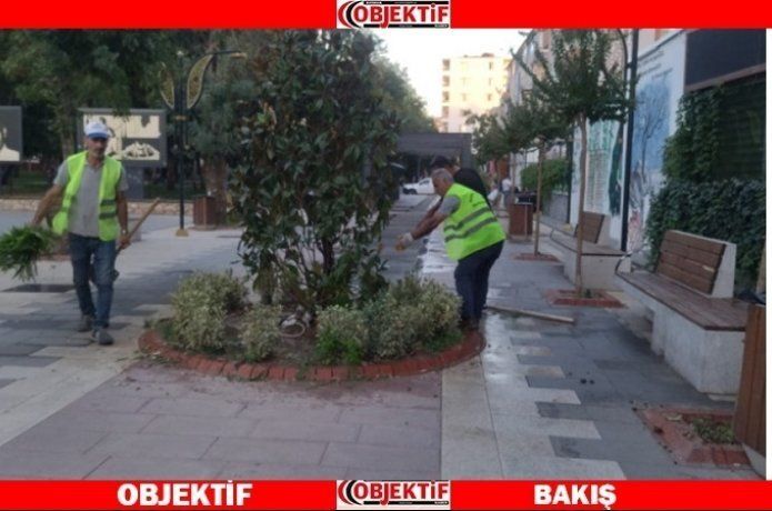 Kent yabani otlardan arındırılıyor