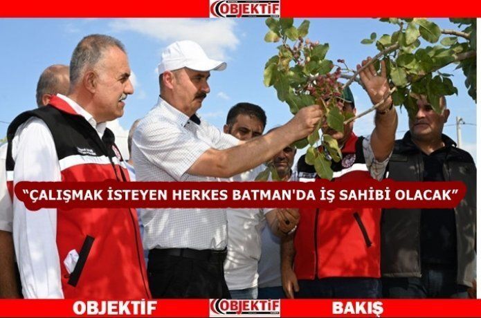 Fıstık hasadı etkinliği düzenlendi
