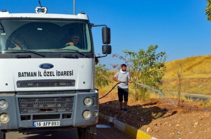 'Yeşil Kuşak Ağaçlandırma Projesi' ilerliyor