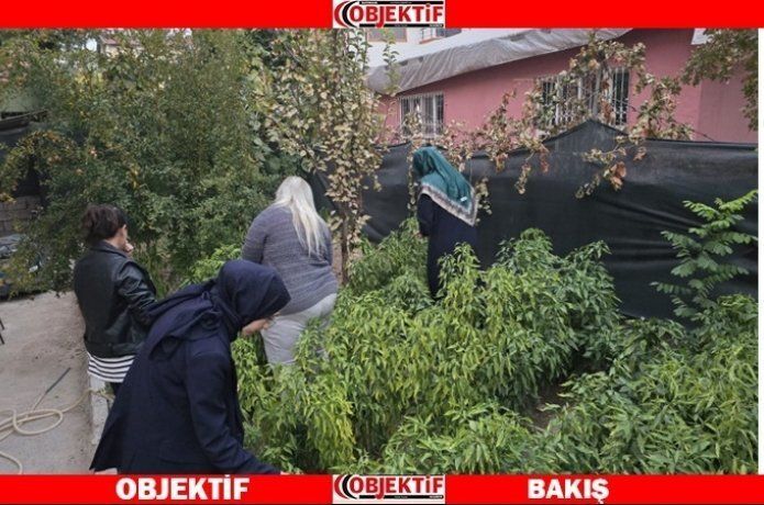 Bir kalp bin umut Derneğinden örnek çalışma