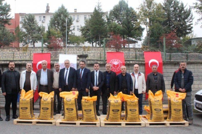 Tarım’dan kırmızı mercimek tohumu