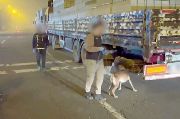 Narkotik köpek Linda’dan zehir tacirlerine darbe!