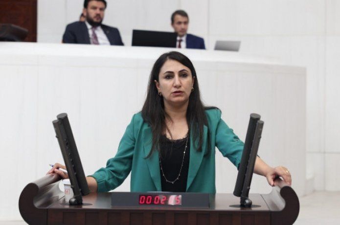 Oduncu, kadına yönelik şiddeti meclise taşıdı