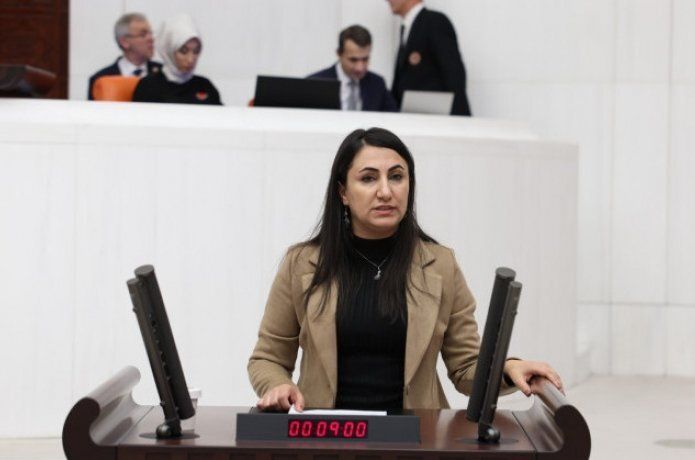 Oduncu "Batman Gazetelerinin sorununu meclise taşıdı