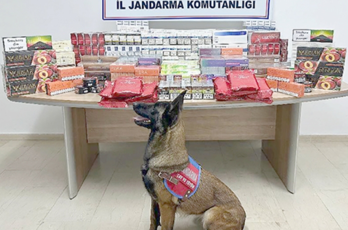 Jandarma kaçakçılara göz açtırmıyor