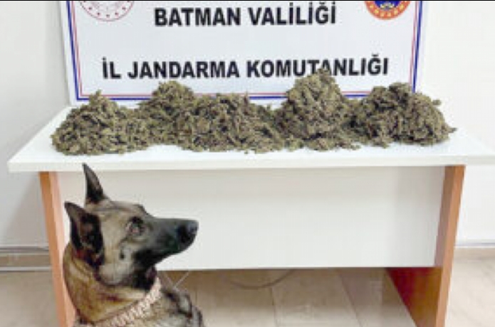 Jandarmadan zehir tacirlerine geçit yok