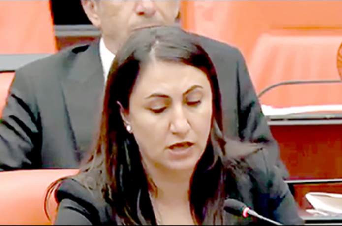 “Yılkı atlarının vahşice öldürülmesine sessizlik anlamlı değil”