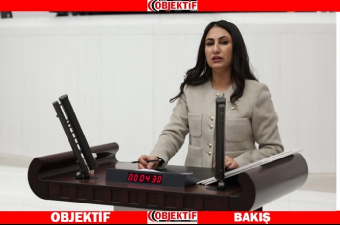 Zeytinlikler tehdit altında