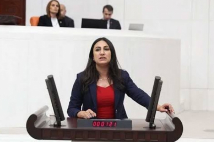 Batman Çayındaki balık ölümlerini meclis gündemine taşıdı