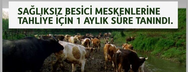 Sağlıksız besici barınaklarına 1 ay süre tanındı