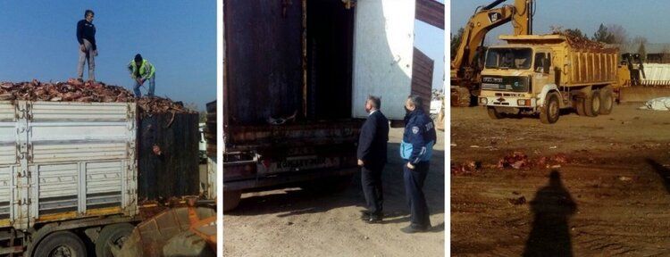 Tonlarca sakatat imha edildi