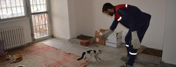 Binadan düşen kedi tedavi altına alındı