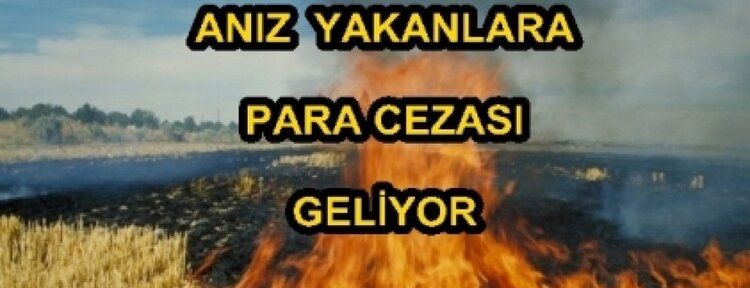Anız yakanlara para cezası kesilecek