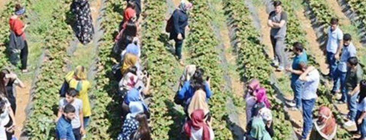 Stajyer öğrenciler için teknik gezi düzenlendi