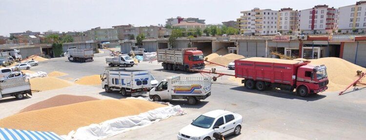 “Buğdaydaki hayal kırıklığını mısırda yaşamak istemiyoruz”
