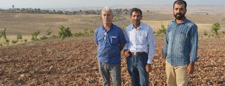 "Tapulu tarlamızı vakıf arazisi yapmışlar"