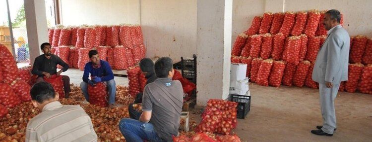 "Batman Sebze ve Meyve Hali esnafının sıkıntıları giderilmeli"