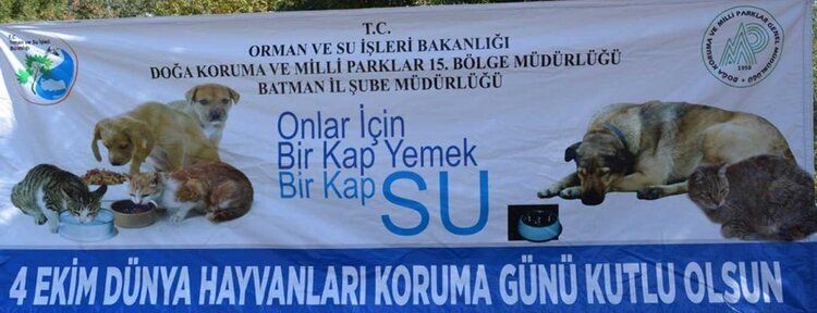 Dünya Hayvanları Koruma Günü'nde vatandaşlar bilinçlendirildi