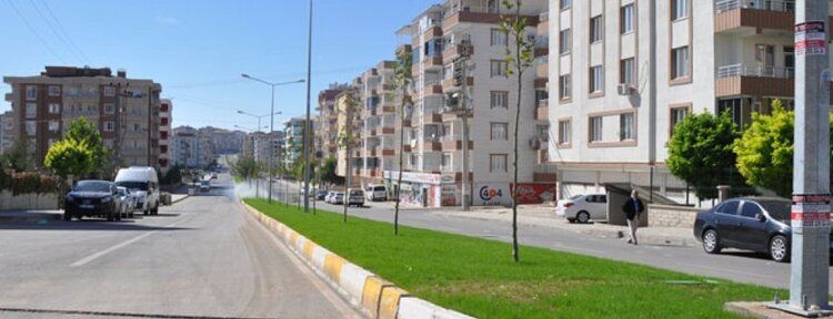 Bulvar ve Refüjler kışın da yeşil kalacak