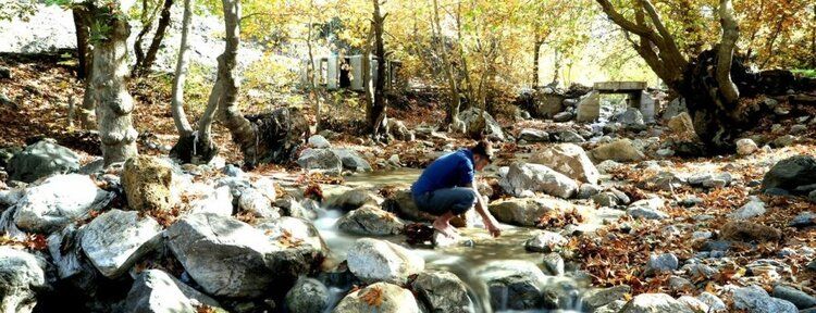 Sonbaharın kartpostallık fotoğrafları