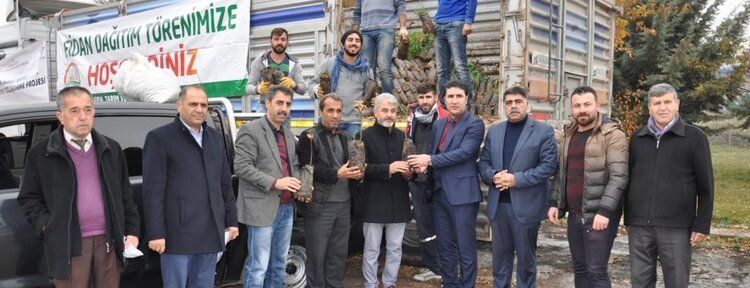 Batman'da çiftçilere 200 bin fıstık fidanı dağıtıldı