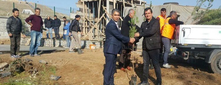 Mezarlıklara 10 bin fidan dikilecek