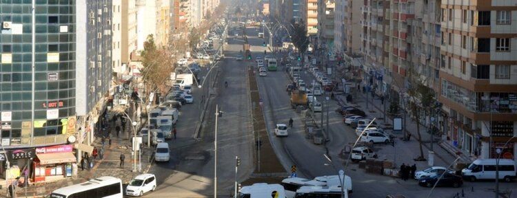 Çınar yapraklı dut ağaçları dikiliyor