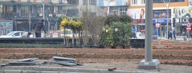 Basın kavşağına palmiye ağaçları dikildi
