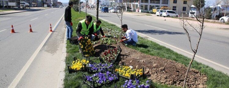 Belediye çalışmalarıyla Batman baharı yaşıyor
