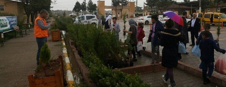 Belediyeden ‘her mezarın bir ağacı olsun’ kampanyası