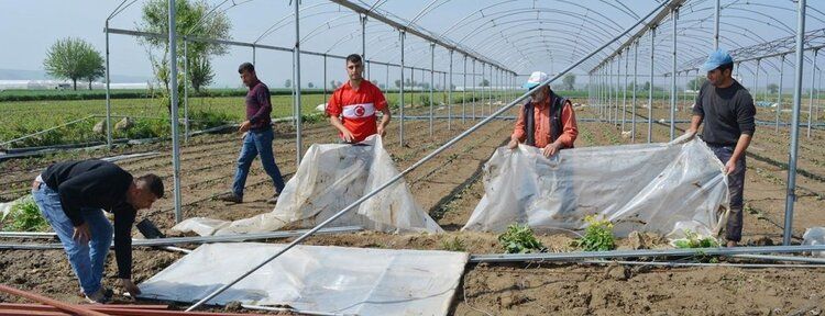 Fırtınadan zarar gören çiftçiler destek bekliyor